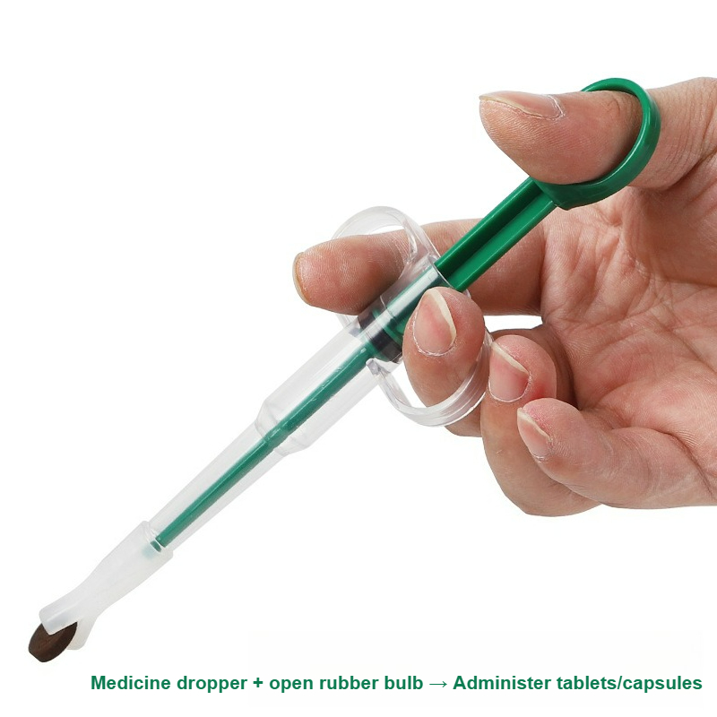 Pet Pill Gun，Pet Medicine Feed - Food Storage How To のレビューと価格