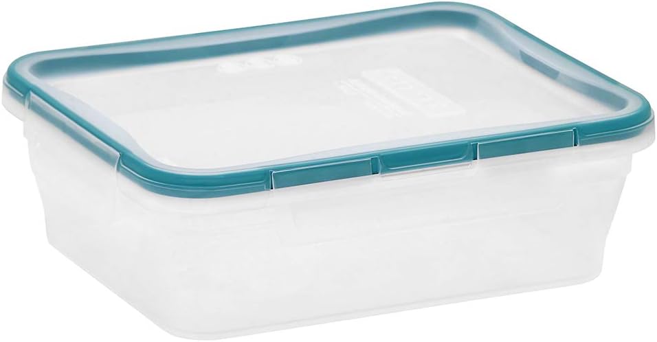 Plastic Food Storage Container - Food Storage Freezer Containers のレビューと価格